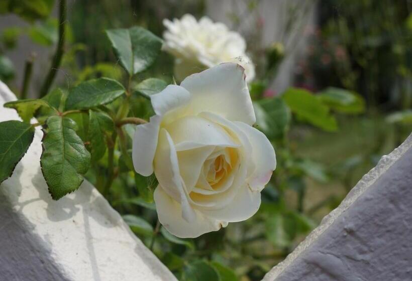 Bed and Breakfast The Silent Picket