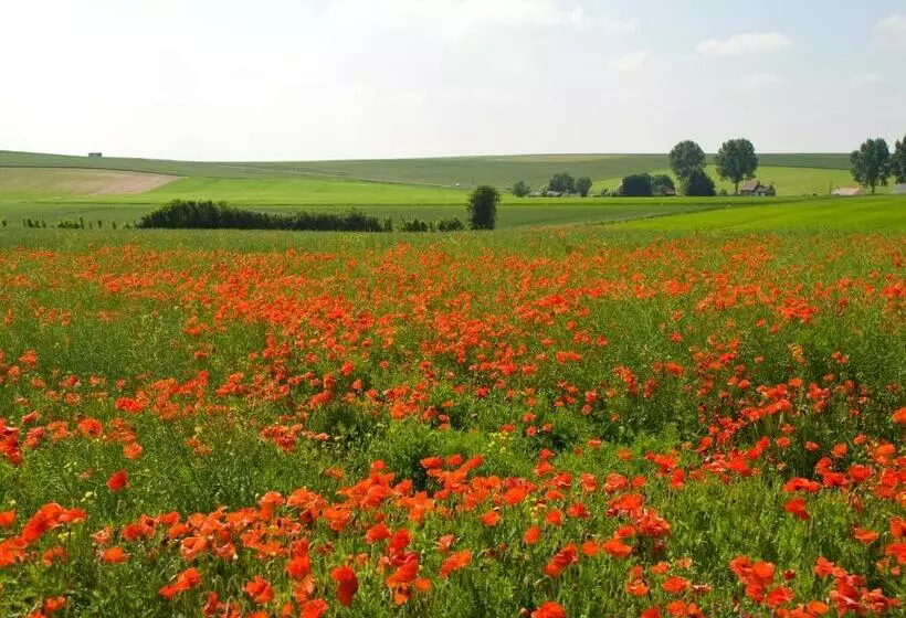 ベッドアンドブレックファースト The Silent Picket