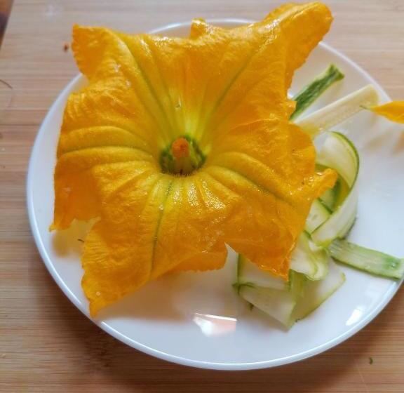 בית מלון כפרי Agriturismo Campolungo