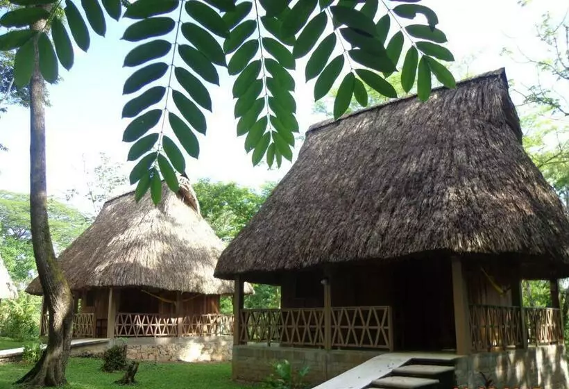 Hotelli Nueva Alianza