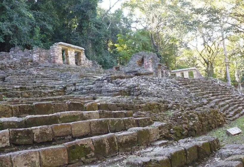 Hotelli Nueva Alianza