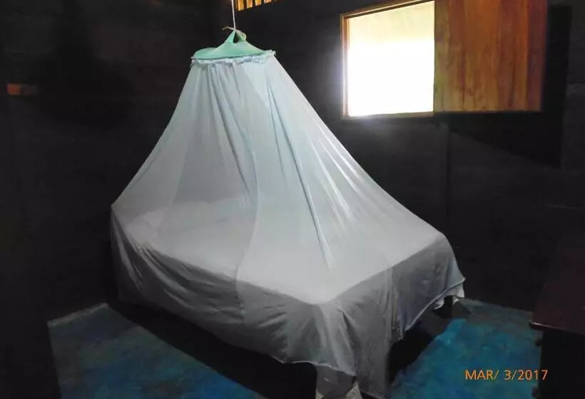 Hotelli Nueva Alianza