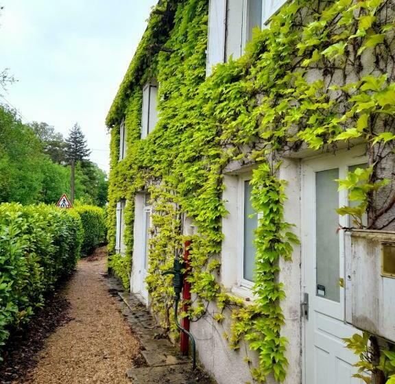 ベッドアンドブレックファースト Avol D Oiseau