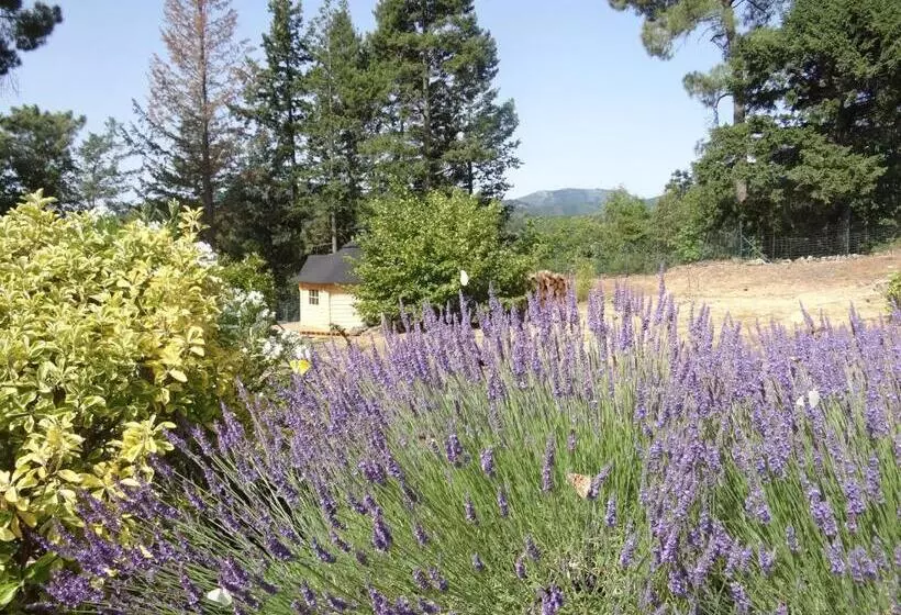 ベッドアンドブレックファースト Brin D Ardèche