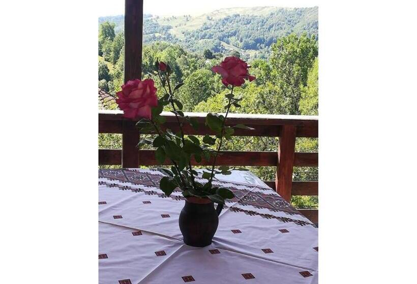 住宿加早餐  Casa Savu Secaria