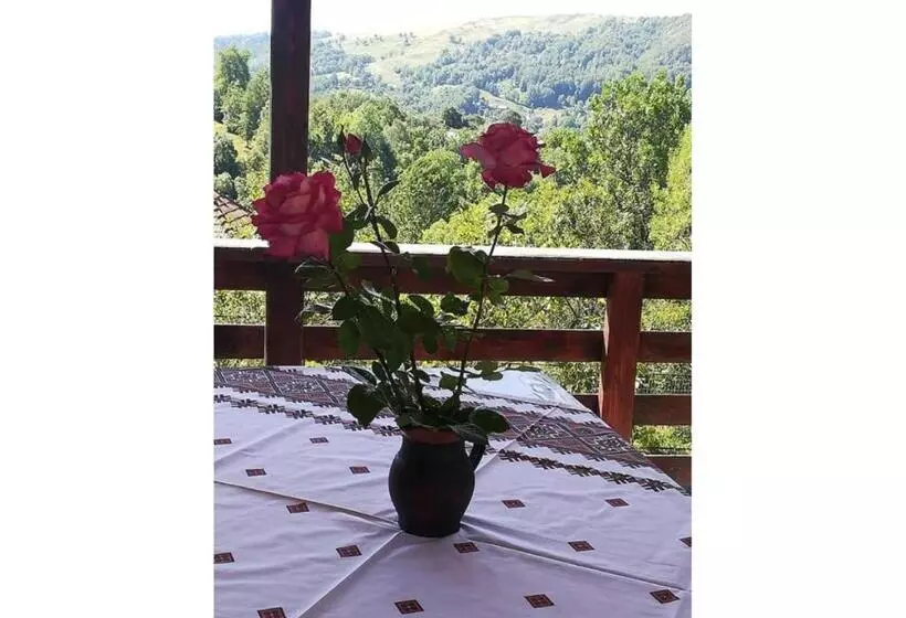 Aamiaismajoitus (B&B) Casa Savu Secaria