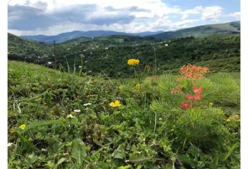Aamiaismajoitus (B&B) Casa Savu Secaria