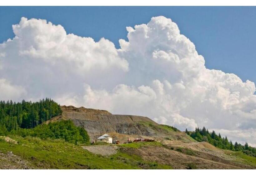 住宿加早餐  Casa Savu Secaria