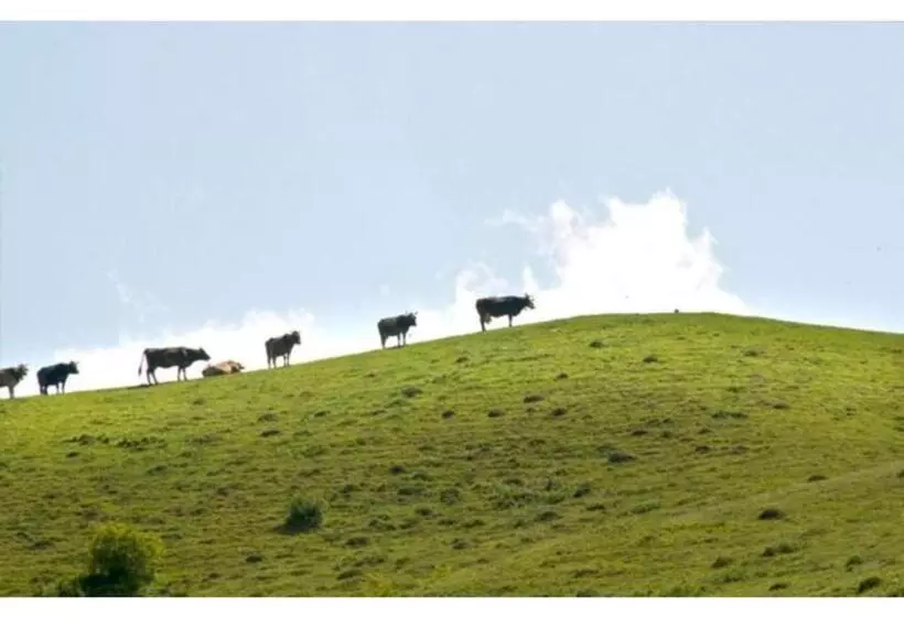 Aamiaismajoitus (B&B) Casa Savu Secaria