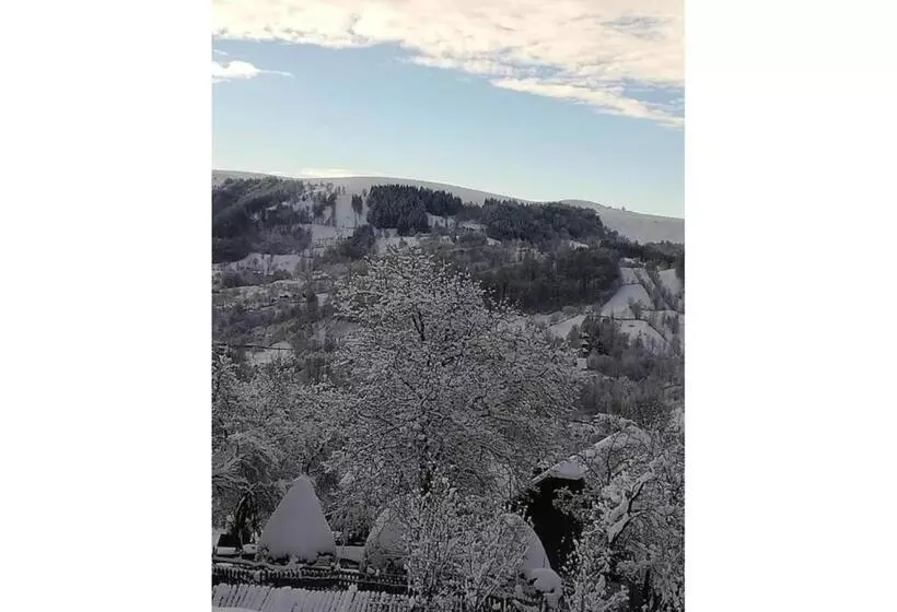 Aamiaismajoitus (B&B) Casa Savu Secaria