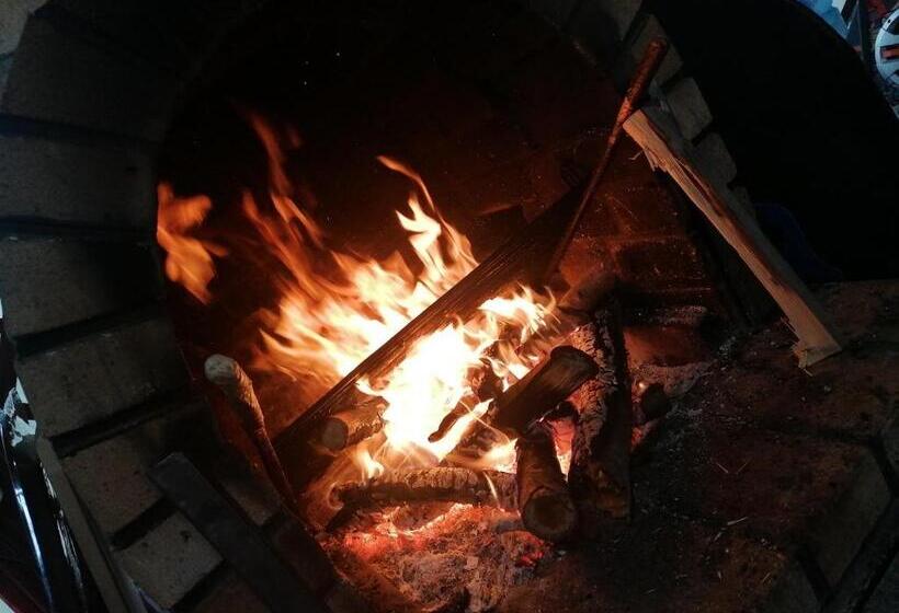 住宿加早餐  Casa Savu Secaria