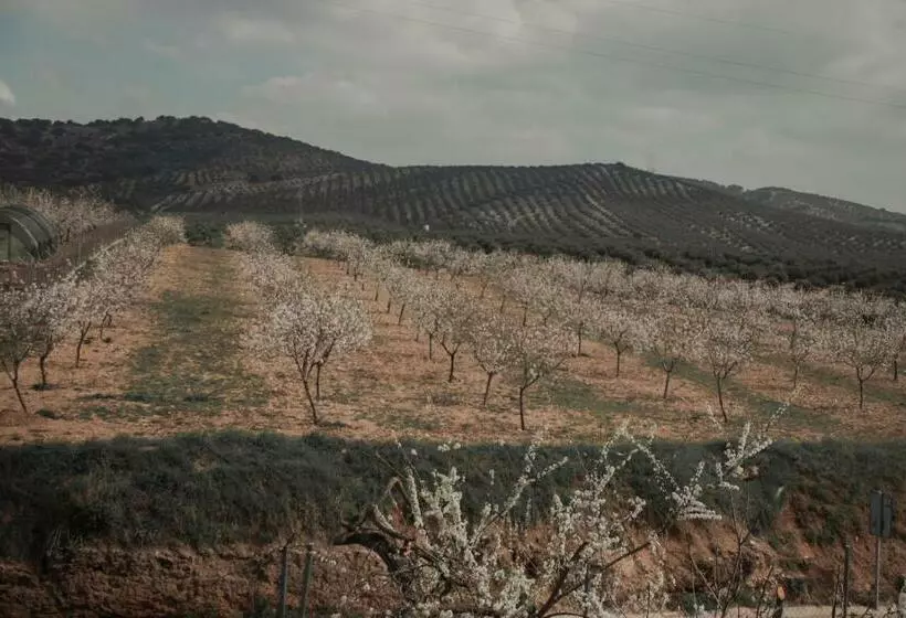 Aamiaismajoitus (B&B) El Carmen