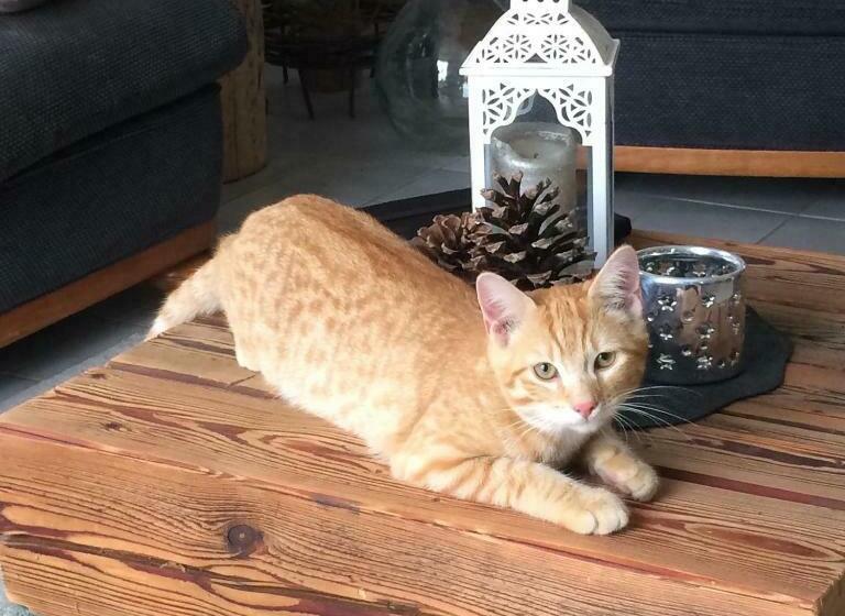 민박 Maison D Hôtes Spa Pivoine Et Colibri