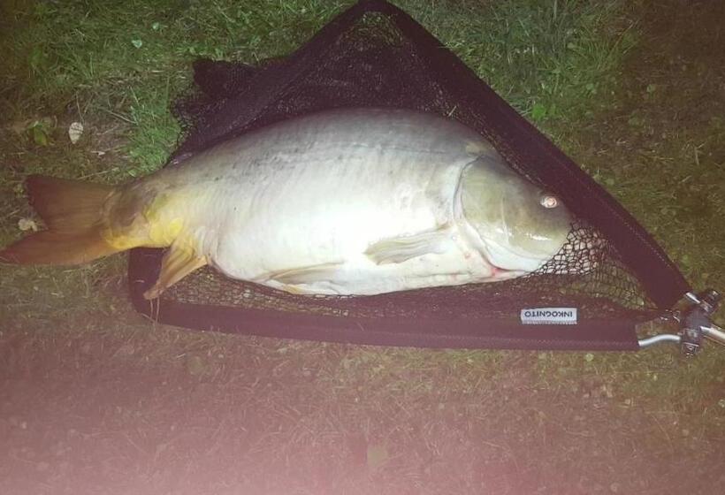 Bed and Breakfast Tüttös Vendéghàz