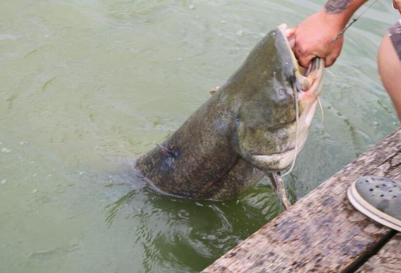 Bed and Breakfast Tüttös Vendéghàz