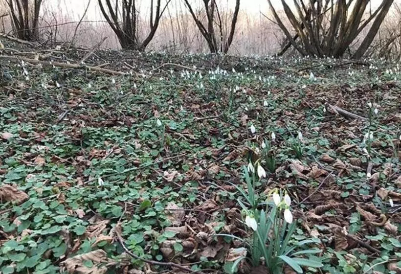 Aamiaismajoitus (B&B) Tüttös Vendéghàz