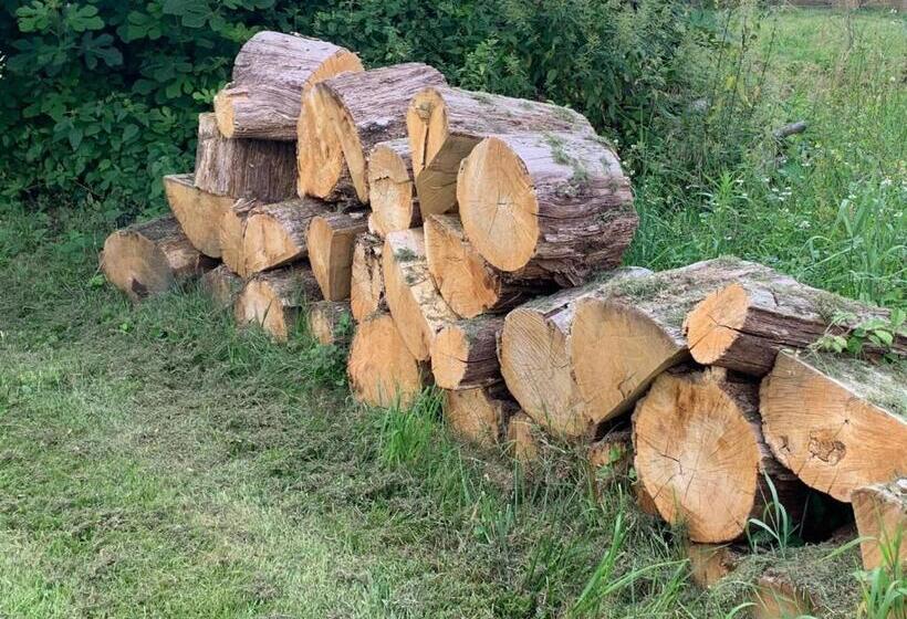 Chambre ďhôtes B&b Le Figuier