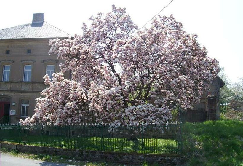 Отель Ferienwohnung Schleich