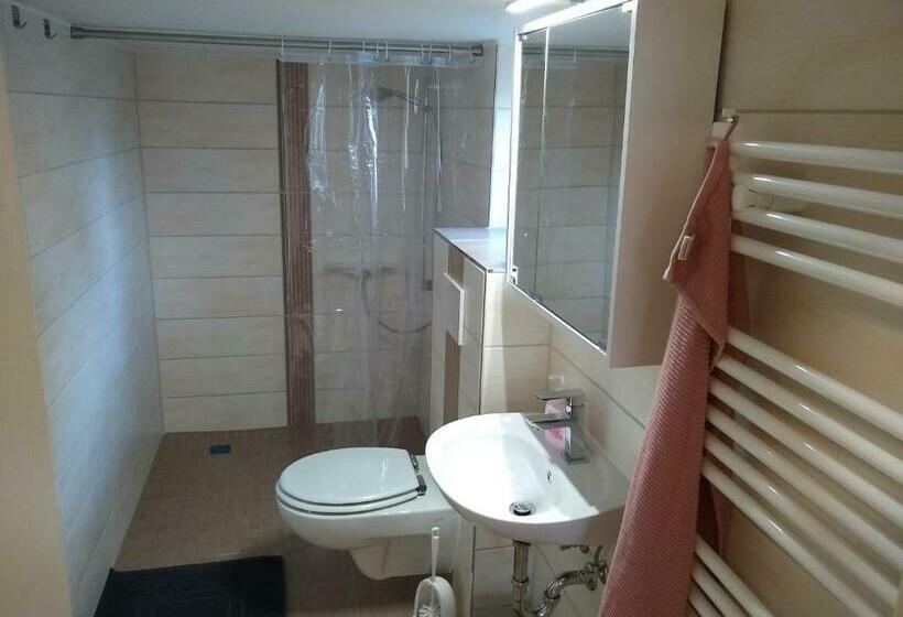 Отель Ferienwohnung Schleich