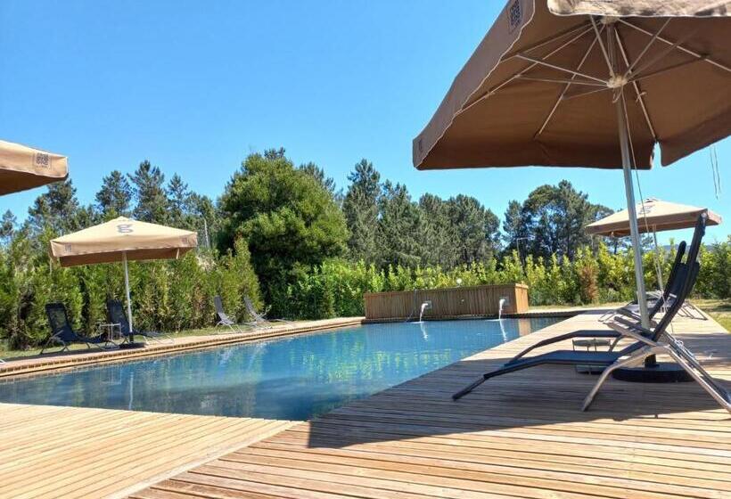 فندق Fonte Velha