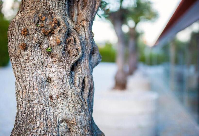 فندق Fonte Velha