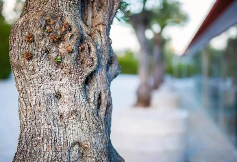 ホテル Fonte Velha