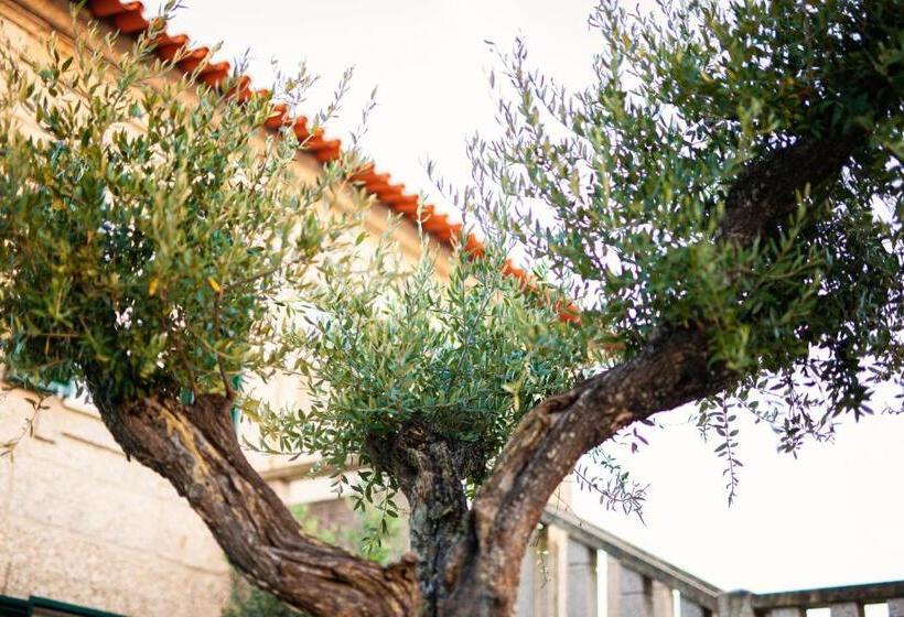 فندق Fonte Velha