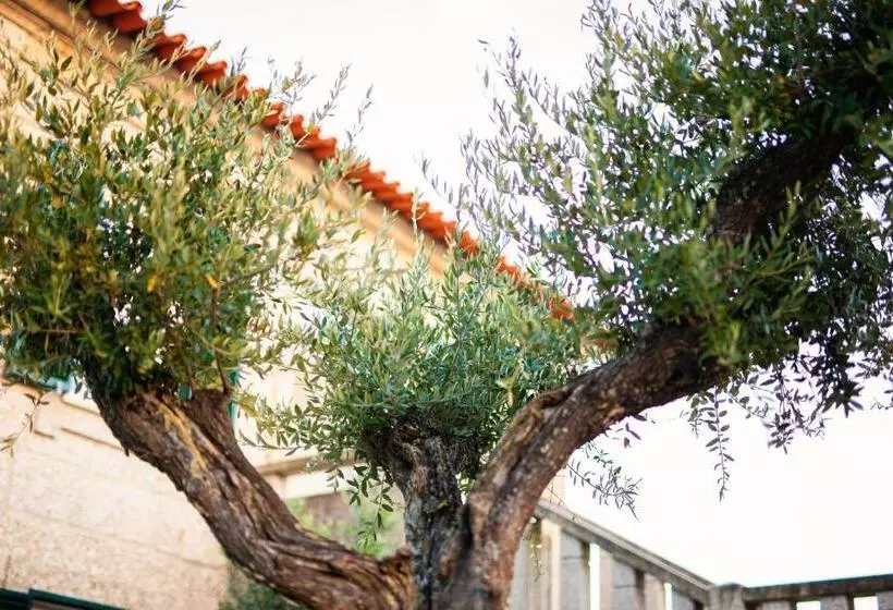 ホテル Fonte Velha