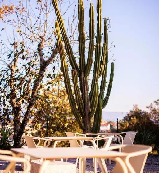 ホテル Fonte Velha