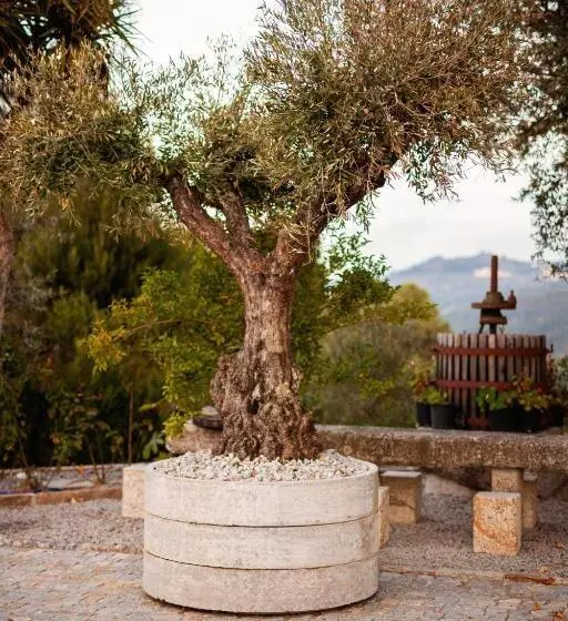 ホテル Fonte Velha