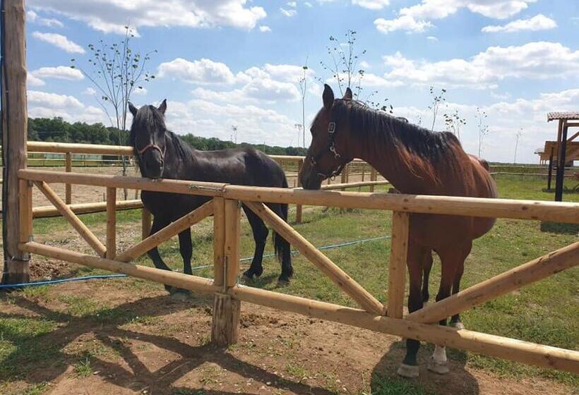 בית מלון כפרי Hobby Land Ranch Horse S Barn Guesthouse