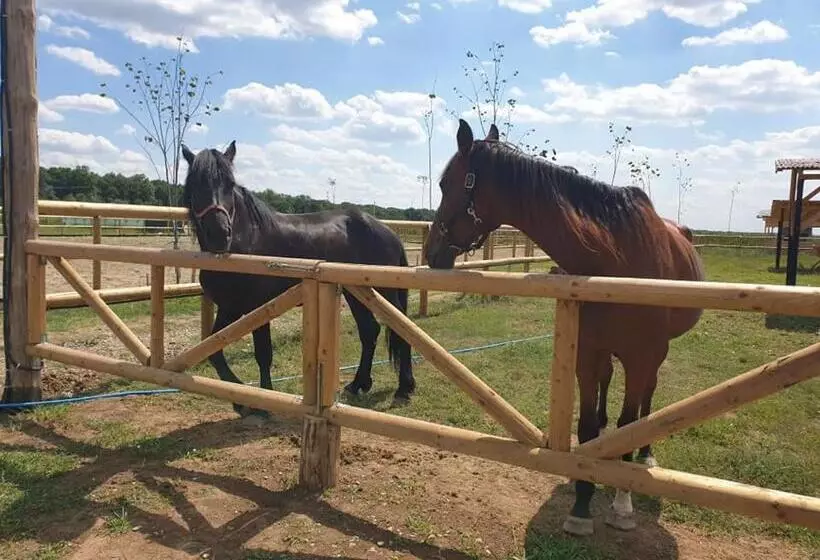 ホテル Hobby Land Ranch Horse S Barn Guesthouse