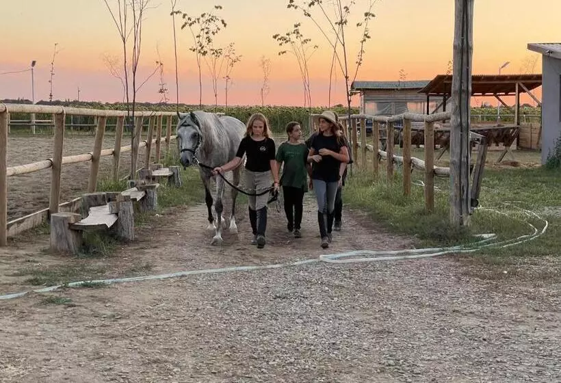 ホテル Hobby Land Ranch Horse S Barn Guesthouse