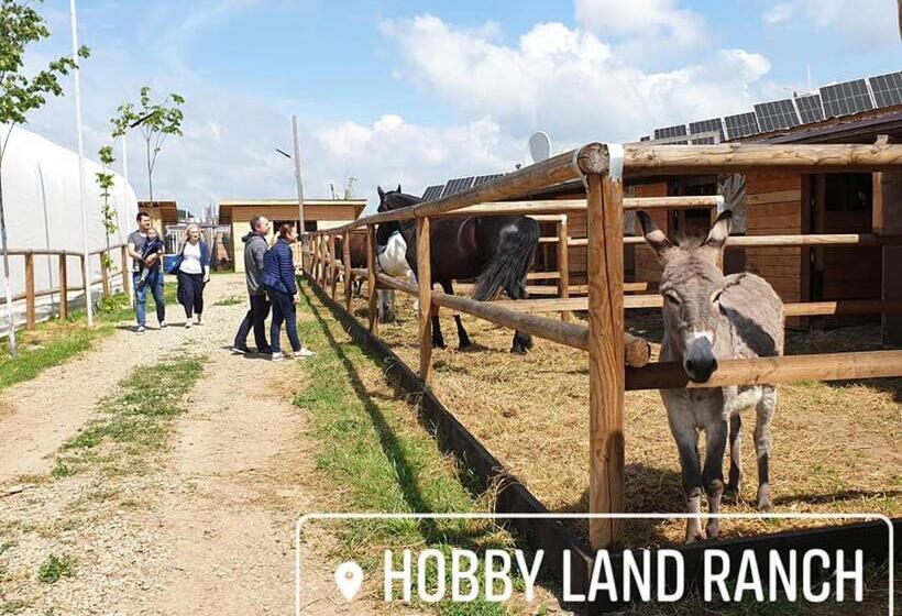 בית מלון כפרי Hobby Land Ranch Horse S Barn Guesthouse