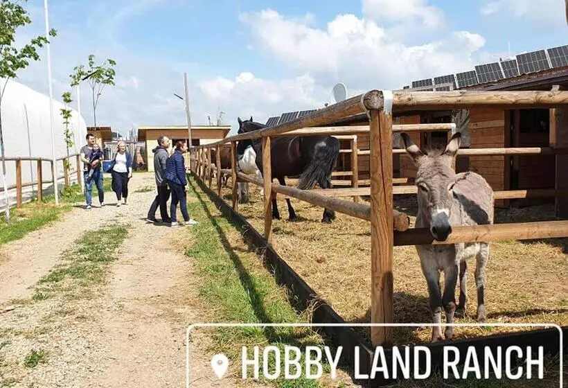 ホテル Hobby Land Ranch Horse S Barn Guesthouse