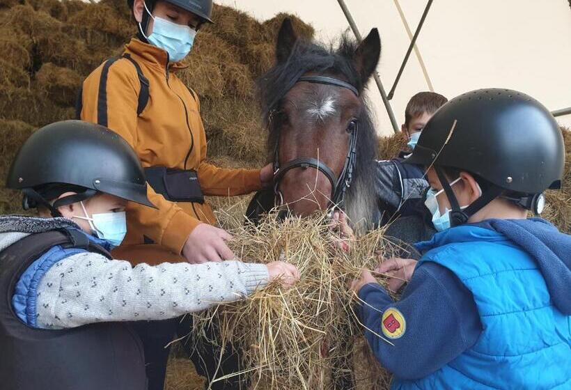 בית מלון כפרי Hobby Land Ranch Horse S Barn Guesthouse