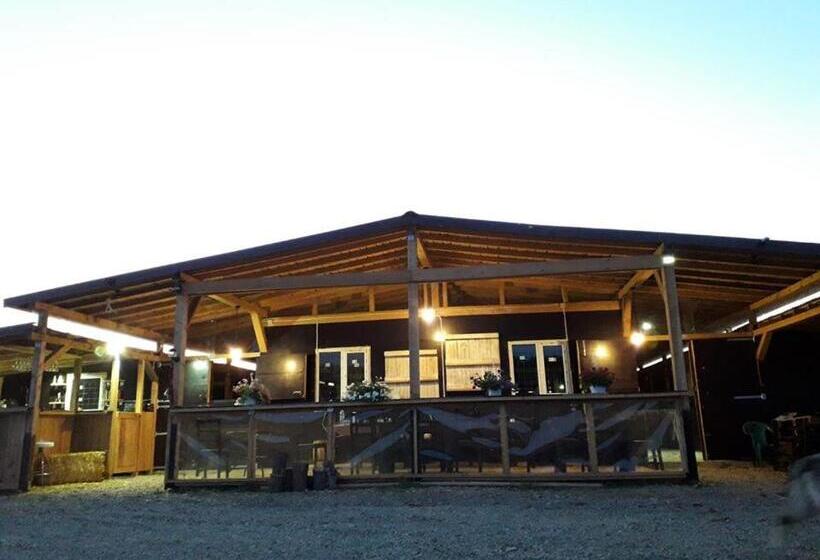 בית מלון כפרי Hobby Land Ranch Horse S Barn Guesthouse