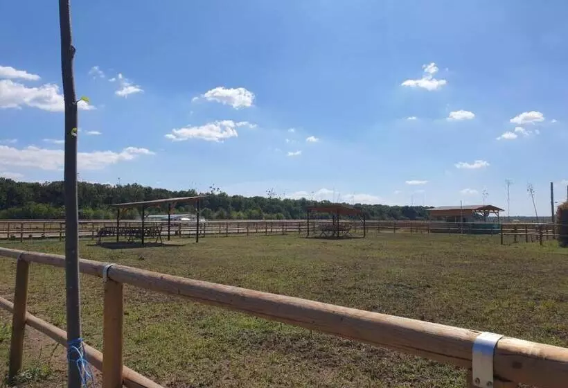 ホテル Hobby Land Ranch Horse S Barn Guesthouse