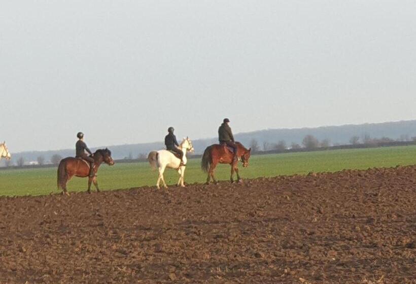 בית מלון כפרי Hobby Land Ranch Horse S Barn Guesthouse