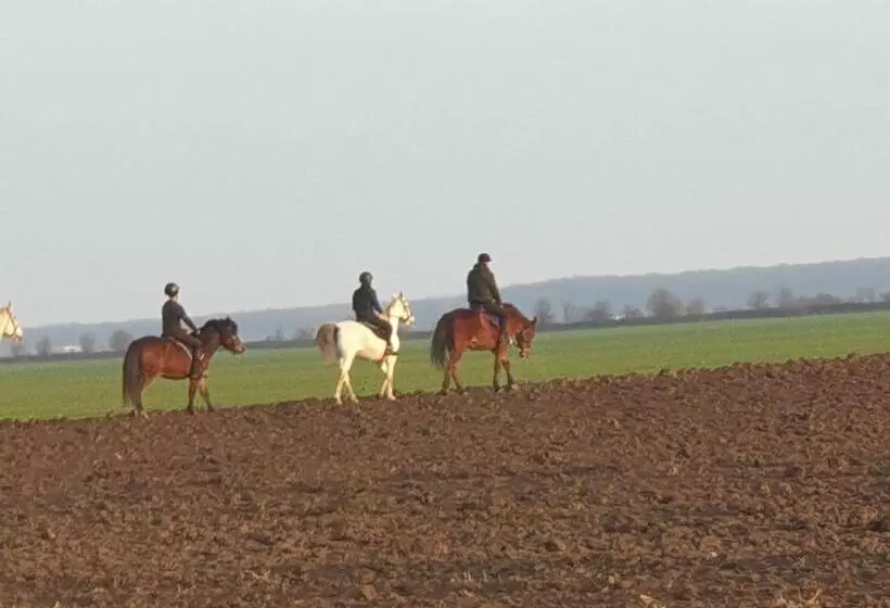 ホテル Hobby Land Ranch Horse S Barn Guesthouse