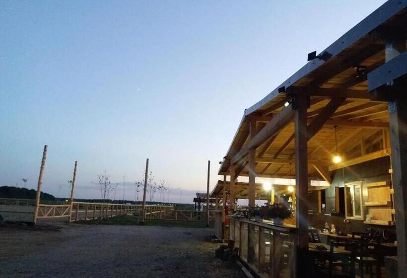 בית מלון כפרי Hobby Land Ranch Horse S Barn Guesthouse