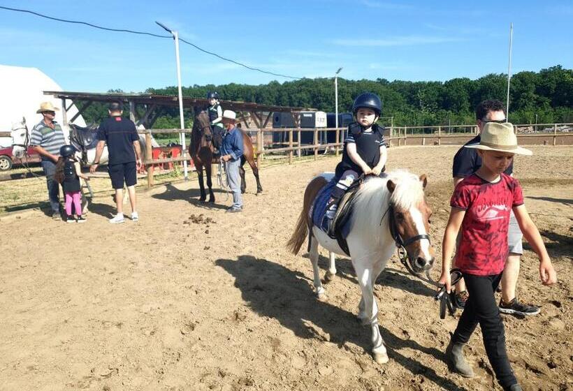 בית מלון כפרי Hobby Land Ranch Horse S Barn Guesthouse