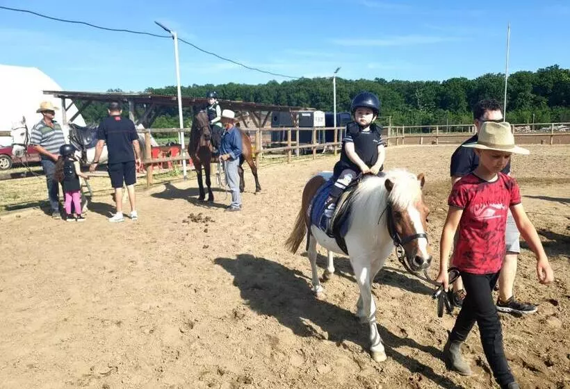 ホテル Hobby Land Ranch Horse S Barn Guesthouse