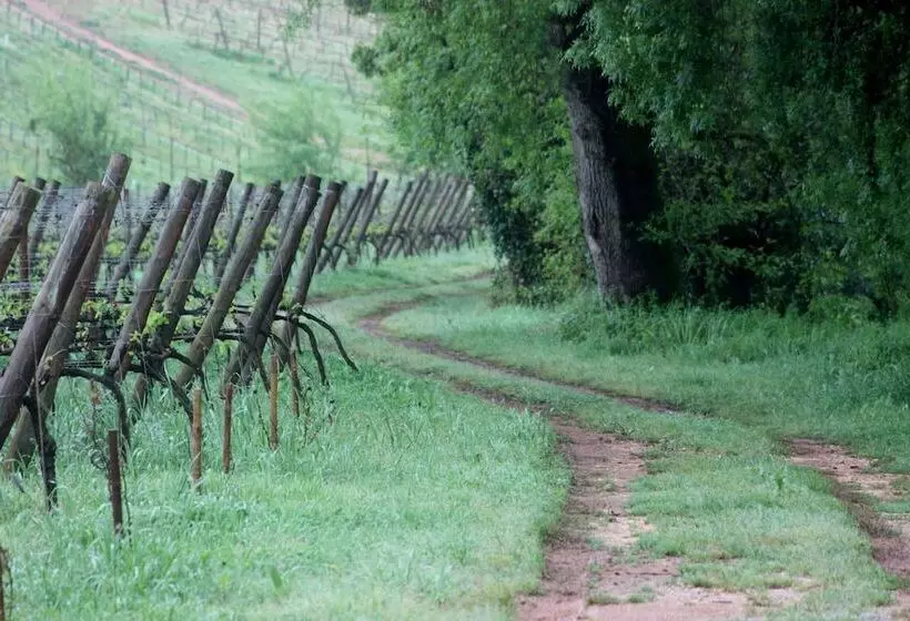 Hotelli Quinta Do Porto Nogueira By Romana Vini