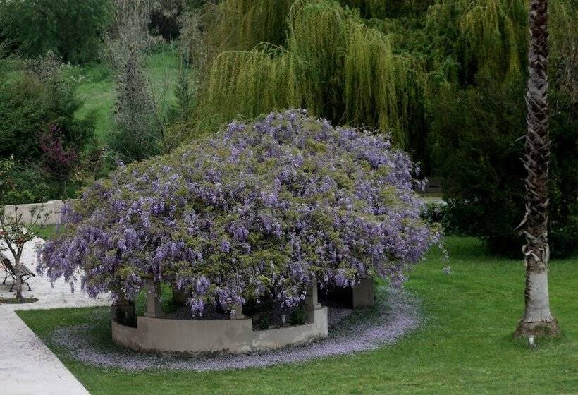 בית מלון כפרי Quinta Do Porto Nogueira By Romana Vini