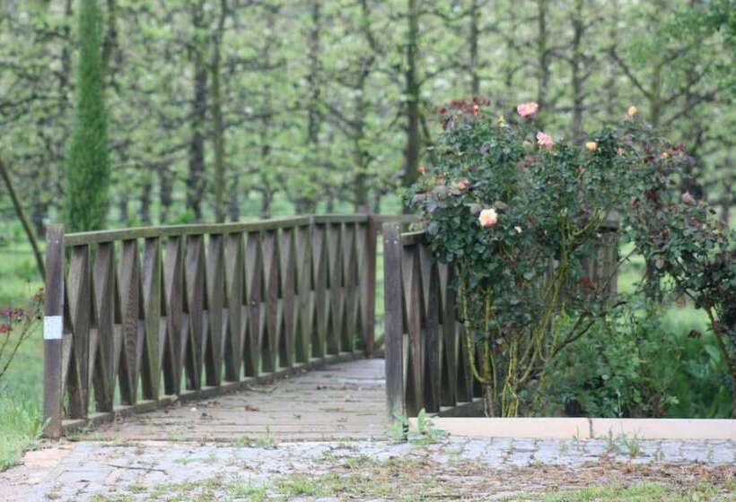 בית מלון כפרי Quinta Do Porto Nogueira By Romana Vini