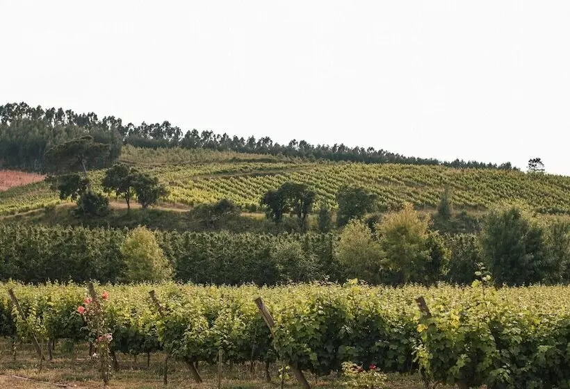 Hotelli Quinta Do Porto Nogueira By Romana Vini