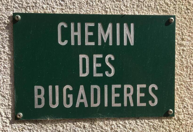 Orangerie De Cardet Maison D Hôtes B&b