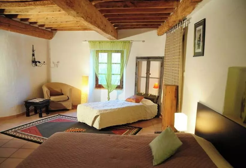 Orangerie De Cardet   Maison D Hôtes   B&b