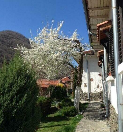 膳宿费 къща за гости спасителна